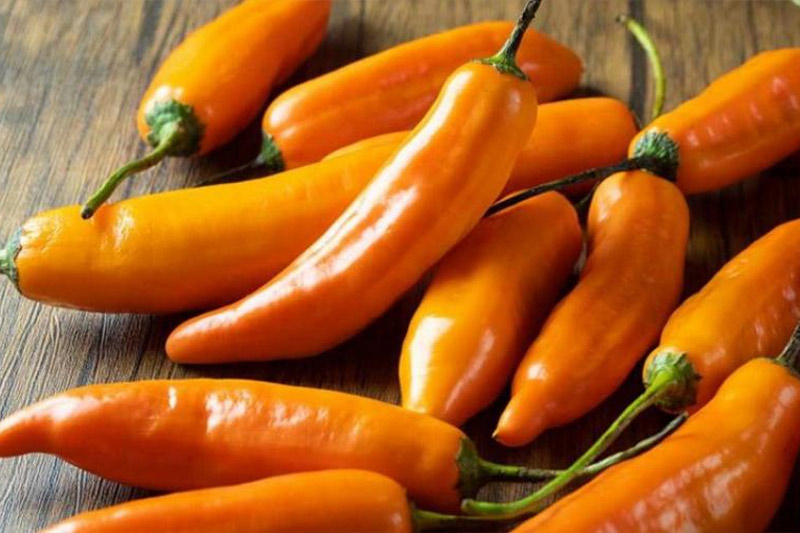 aji amarillo peru